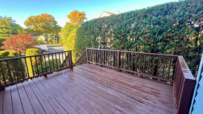 Deck - 237 Captain Eames Cir