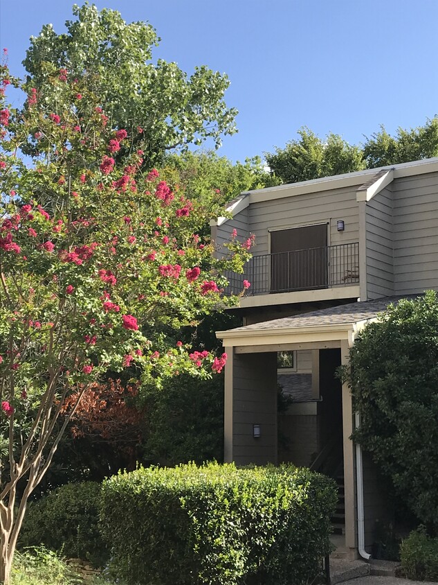 Spring Hollow Condo - 1135 Barton Hills Dr