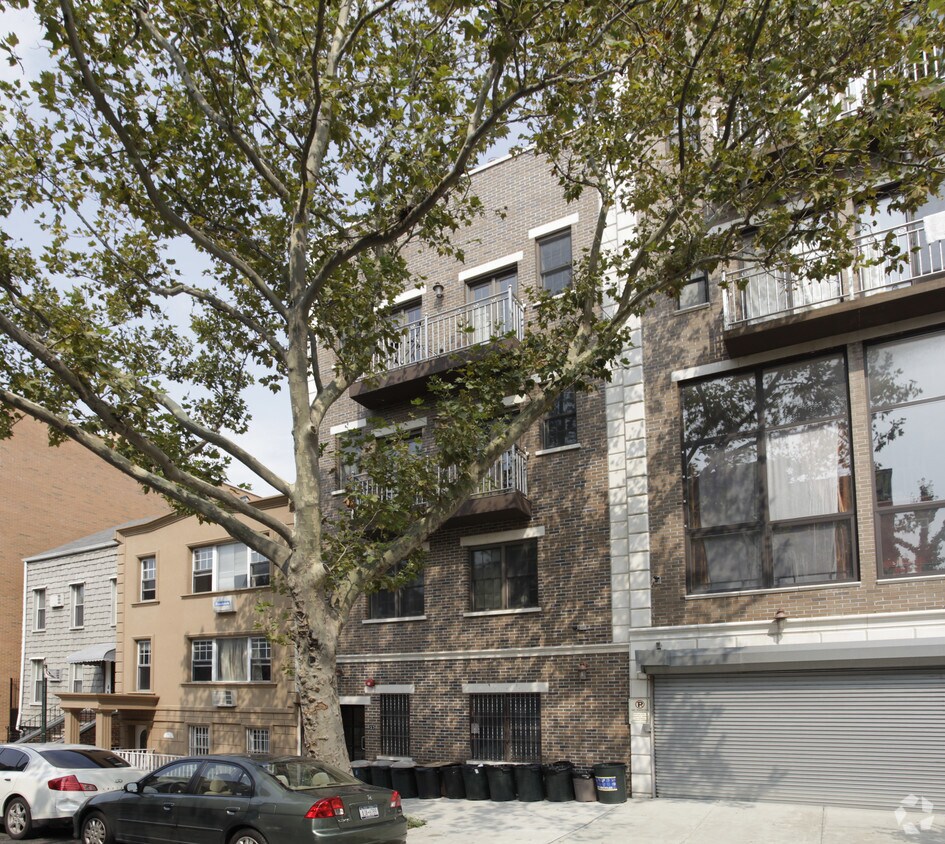 Primary Photo - 37 Conselyea St