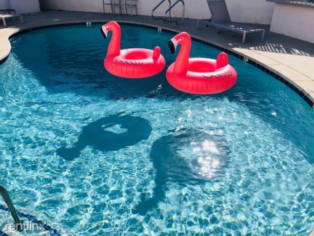 Foto del edificio - 717 Indiana Ct