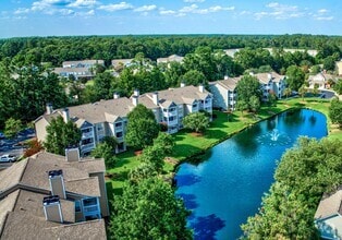Building Photo - Palmetto Pointe Apartment Homes