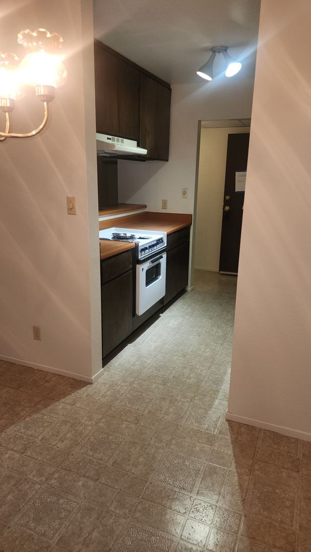 Building Photo - This unit is freshly painted with new carp...