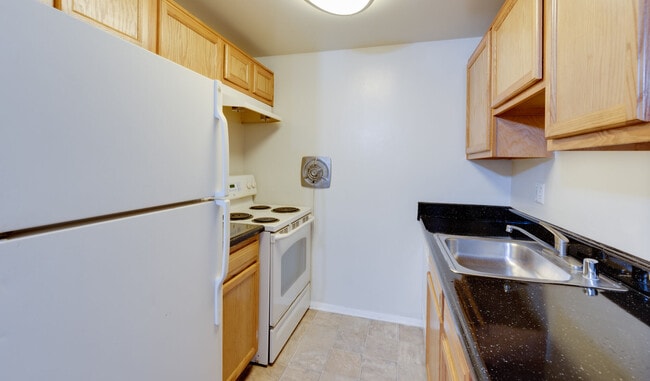 Building Photo - Birches