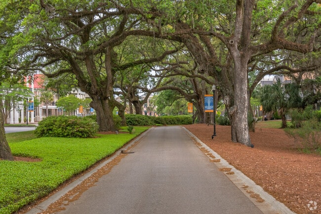 Downtown Daniel Island Road leaving waterfront park under a canopy of Oak Trees