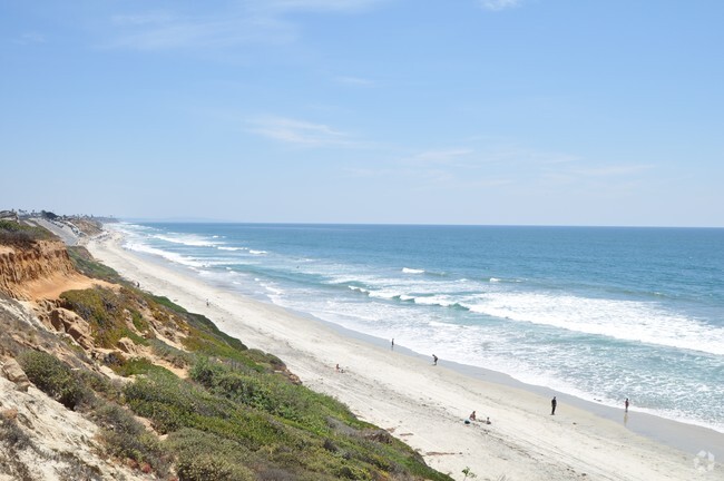 LOCAL BEACH VIEW - Los Arboles Apartments