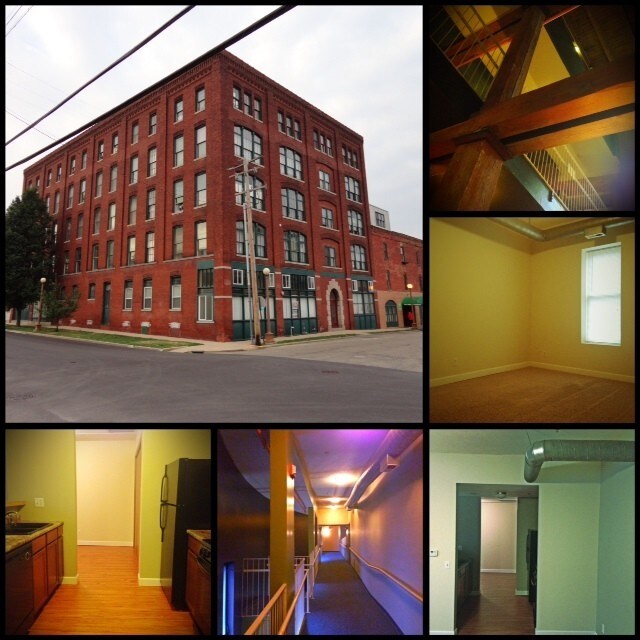 215 Douglas St Bloomington Il 61701 Apartment For Rent In Home Illinois Bloomington 215 Douglas St Primary Photo