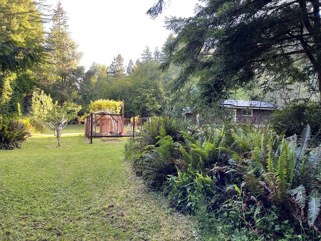 Building Photo - Private 3-Bedroom Home on 3 Acres