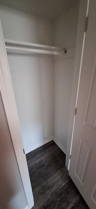 Building Photo - 4815 Saddlebrook Lane