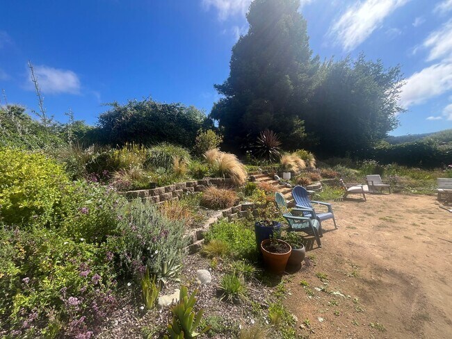 Foto del edificio - 3BD/2BA Arcata home features large backyard, quiet neighborhood!