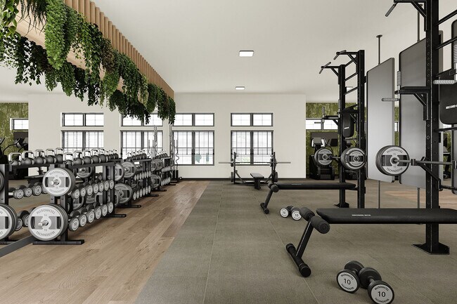 12-Gimnasio1 - The Doce