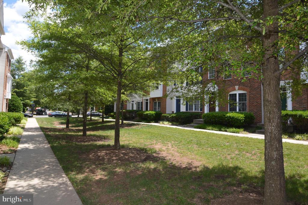 Foto principal - 42761 Hollingsworth Terrace