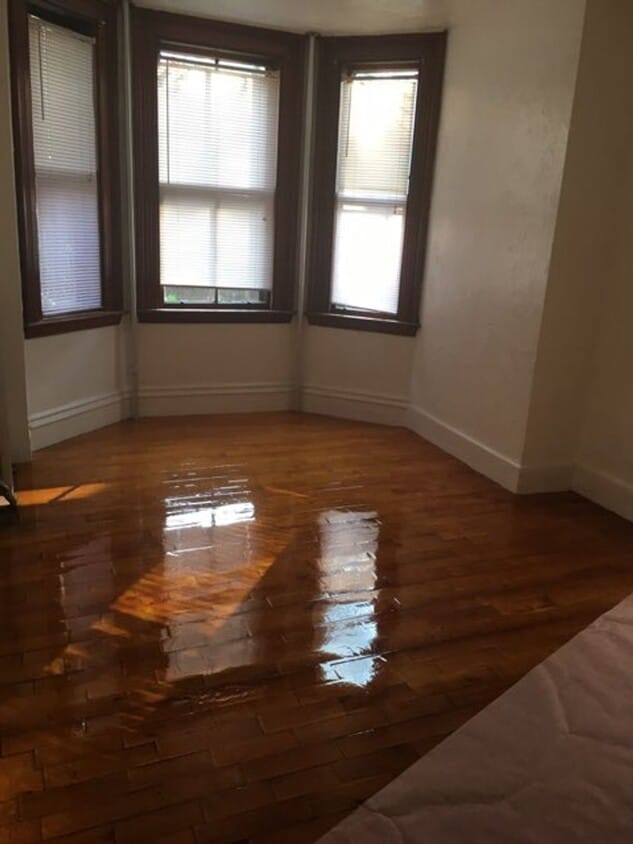 Primary Photo - Great Allston 3-bed with Washer/Dryer and ...