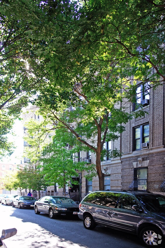Building Photo - 256 Pacific St