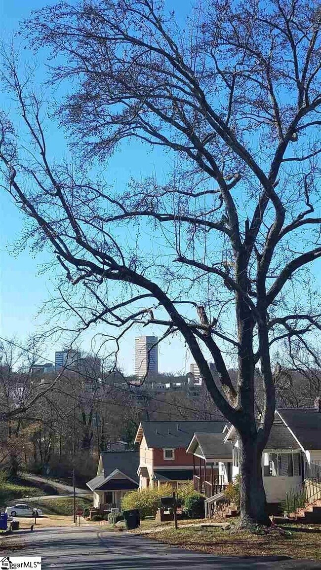 Foto del edificio - 113 Mount Zion Ave