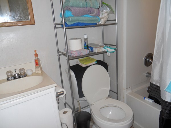 Bathroom Apt. # 1 - 809 Bertrand St
