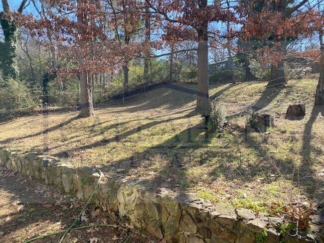 Building Photo - Updated NLR 2 Bed Home, 2 Living Areas