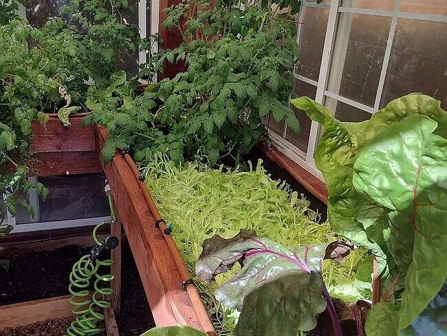 Invernadero - 1630 E 2450 S