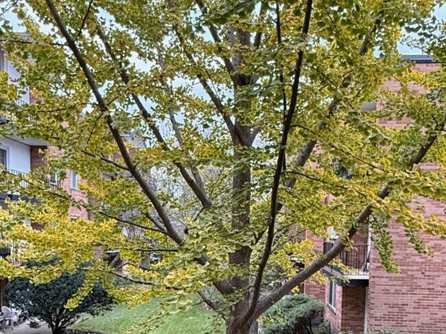 Building Photo - 6961 N Oakley Ave