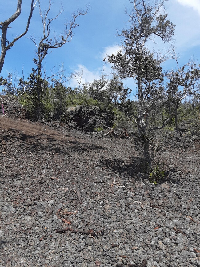 Building Photo - 92-2418 Lei Pkwy