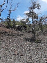 Building Photo - 92-2418 Lei Pkwy