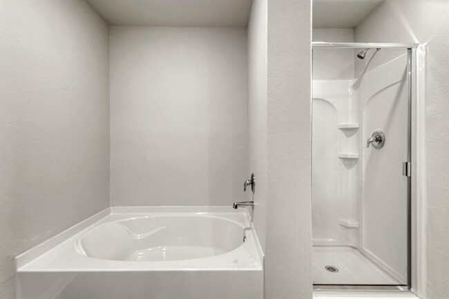 Foto del edificio - 8126 Sunberry Shadow Dr