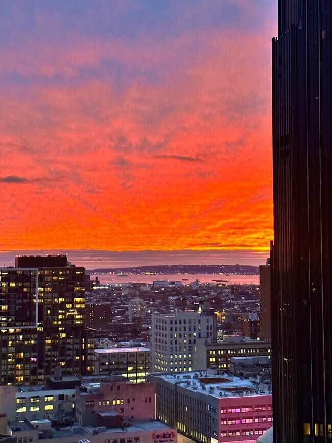 196 Willoughby St Unit 13k, Brooklyn, NY 11201 Apartment for Rent in