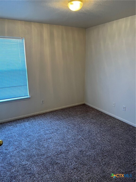 Foto del edificio - 1409 Cinch Dr