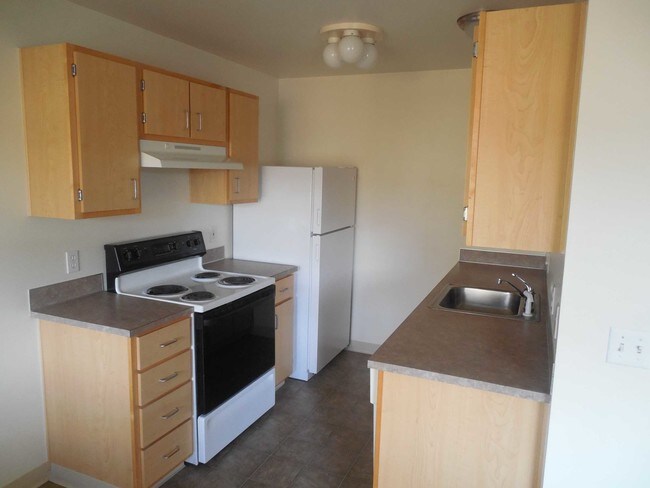 1HAB, 1BA 675 ft² - Conifer Place