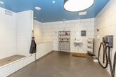 This single-level pet grooming and wash room is thoughtfully designed to provide a fully functional, hygienic space for bathing and caring for pets. The room is immediately distinguished by its bold teal-painted ceiling, which contrasts sharply against the floor-to-ceiling white subway tile that lines every wall, creating a clean, bright, and easy-to-maintain environment.

The centerpiece of the space is a generously sized raised bathing platform, faced with white subway tile and topped with a gray penny-round tile surface featuring integrated floor drains for efficient water drainage. A wall-mounted handheld showerhead with an adjustable slide bar is positioned directly beside the platform, allowing for flexible and convenient bathing at various heights.

Adjacent to the bathing area, a wall-mounted professional pet dryer with a flexible hose provides on-site drying capabilities. A utility sink offers additional washing convenience, while open metal shelving provides organized storage for grooming supplies. The gray penny-round tile continues across the main floor, complementing the overall aesthetic while offering a slip-resistant, practical surface. A glass-panel entry door connects the room to adjacent areas, completing this well-equipped, purpose-built pet care space.