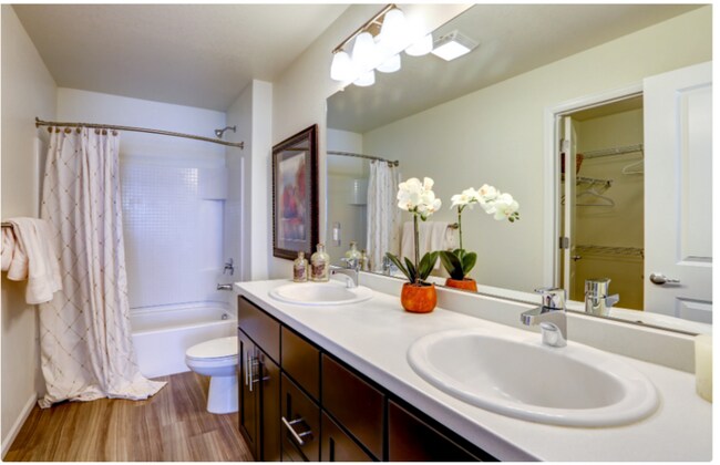 Foto del edificio - 10542 Belle Creek Blvd