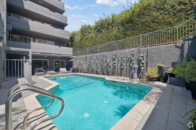 Piscina - 939 Palm Avenue