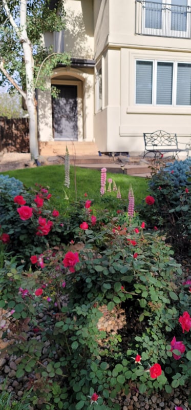 Photo - 362 Monroe St (Denver, CO)