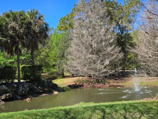 Foto del edificio - 3-bedroom, 2-bathroom cottage-style villa in Savanna Pointe