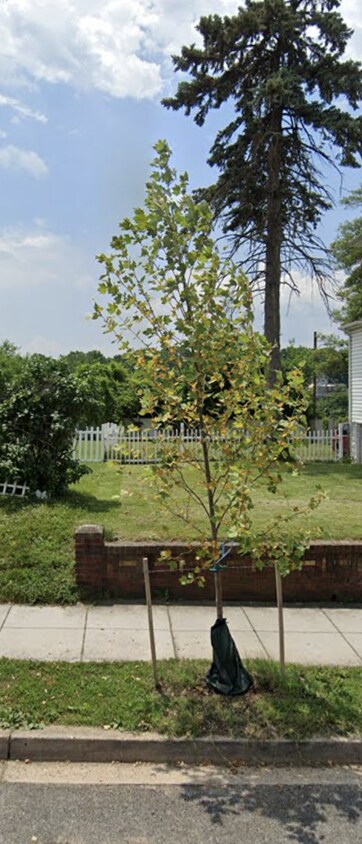 Building Photo - 4605 Hunt Pl NE