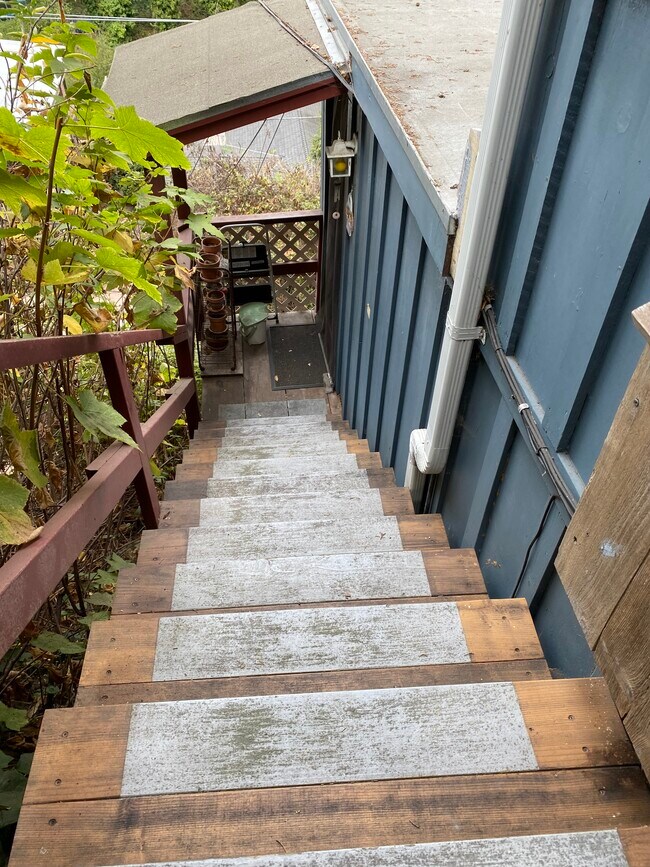 Steps down to apartment - 217 Claus Ct