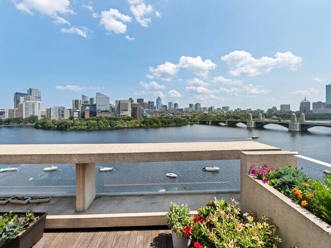 Foto del edificio - 75-83-83 Cambridge Pkwy
