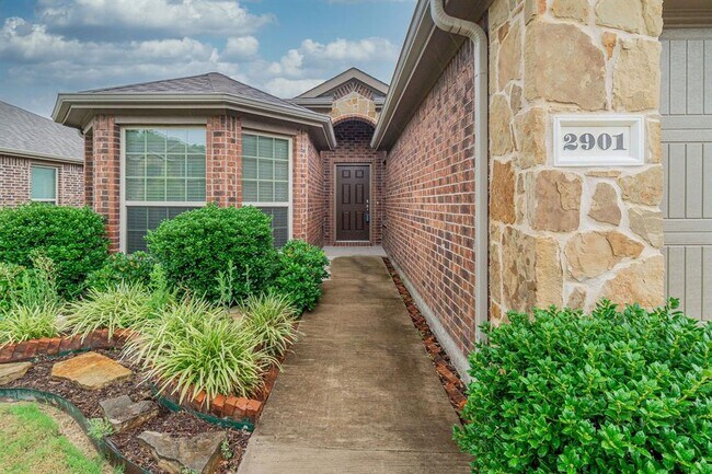 Foto del edificio - 2901 Pecan Grove Dr