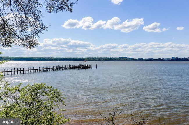 Building Photo - 8206 Waterside Ct