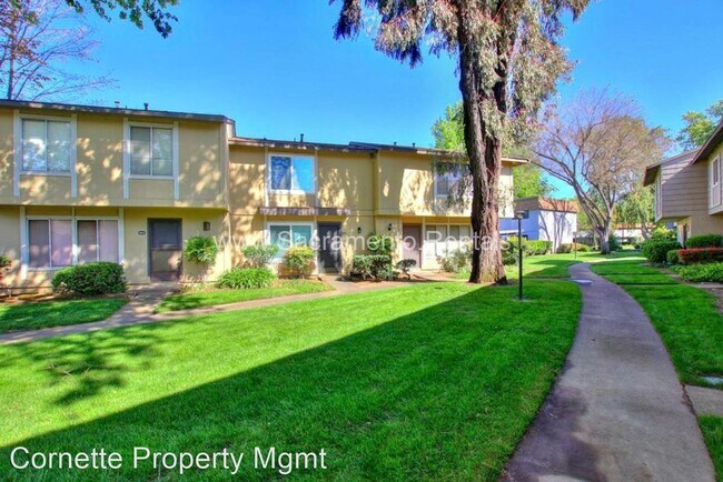 Building Photo - 8839 Salmon Falls Dr