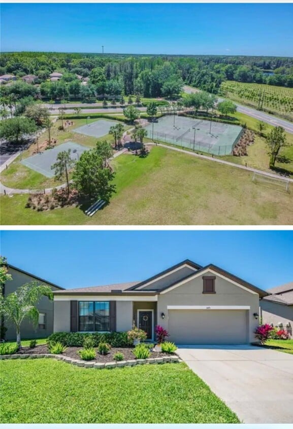 Photo - 5475 Angelonia Terrace (Land O' Lakes, FL)