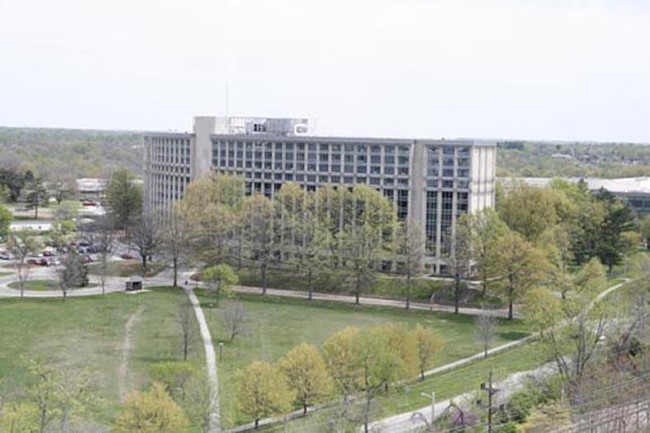 Foto del edificio - Tulip Tree Apartments