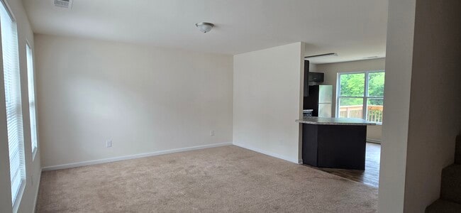 Livingroom - 203 Hyde Park Ln