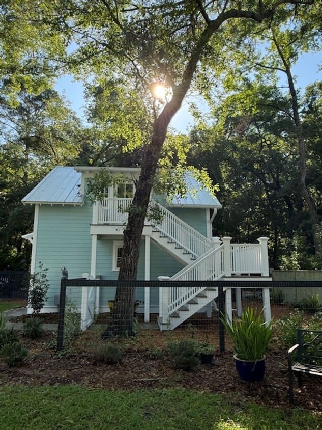 Primary Photo - FROG Available in Habersham