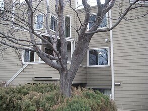 Building Photo - 3725 Birchwood Dr
