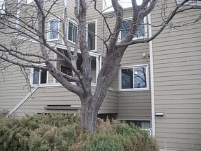 Building Photo - 3725 Birchwood Dr