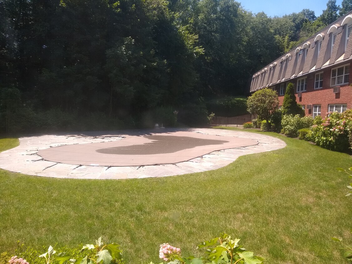 Pool in rear - 110 Old Bridge Ln