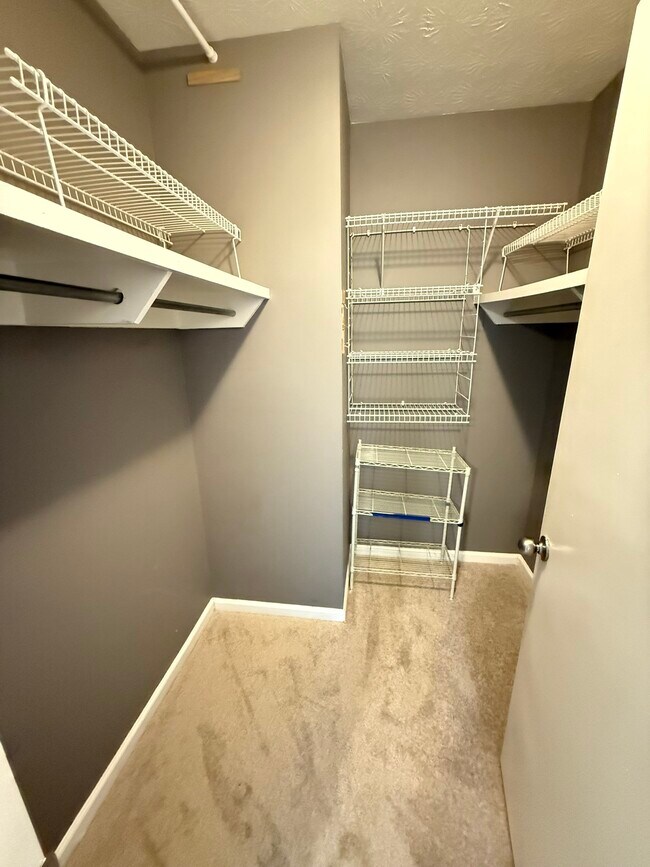 Walk-In Closet - 3140 Seven Pines Ct