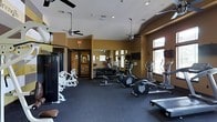 This fitness center offers a thoughtfully designed workout environment suited for a wide range of exercise routines. The space features warm, golden-toned walls complemented by a dark rubber flooring that provides both durability and comfort underfoot. Multiple ceiling fans are suspended from the vaulted ceiling, promoting consistent airflow throughout the room and enhancing comfort during workouts.

The facility is generously equipped with a variety of cardio machines, including ellipticals and treadmills, positioned near large windows that allow natural light to fill the space. A dedicated free weights area includes a full dumbbell rack with an assortment of weights, accompanied by a flat bench for a variety of strength exercises. Additional resistance and cable machines line the perimeter, offering options for targeted muscle training.

A wall-mounted flat-screen television is positioned for easy viewing during workouts. Large mirrors are strategically placed to help users monitor their form and to enhance the sense of openness within the room. Recessed and overhead lighting, combined with the natural light from the windows, ensures the space remains bright throughout the day. A separate adjoining room, visible through glass-paneled doors, provides additional functional space within the facility.