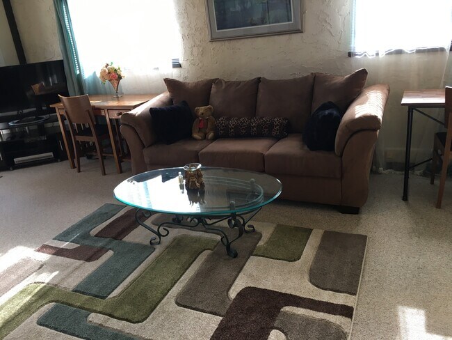 Fully furnished - 11060 Enchanto Vista Dr