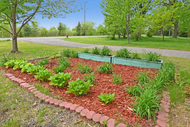 Mucho espacio para hacer jardinería o plantar tus flores favoritas: ¡conviértelo en tu propio oasis! - 32584 River Vista Ln